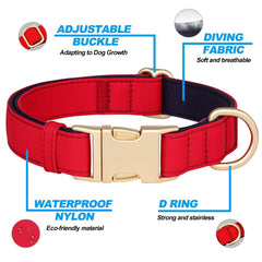 Didog collar in vivid-orange for high visibility during outdoor play