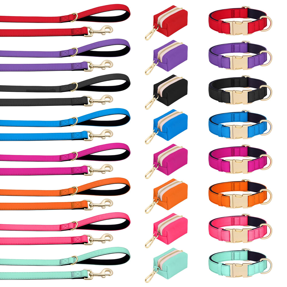 Didog breathable inner lining keeps large dogs comfortable on walks