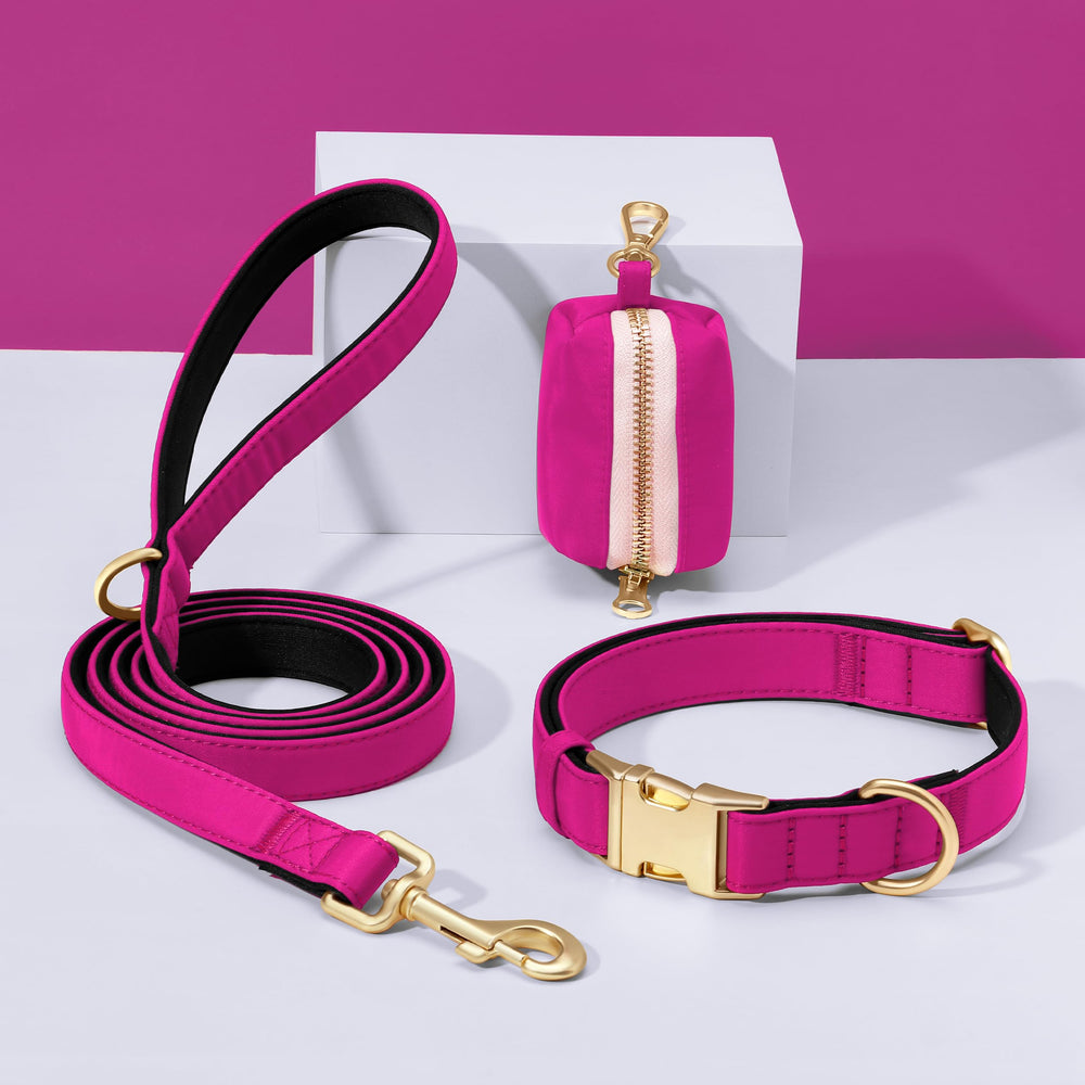Didog lightweight padded collar reduces bulk during daily activity