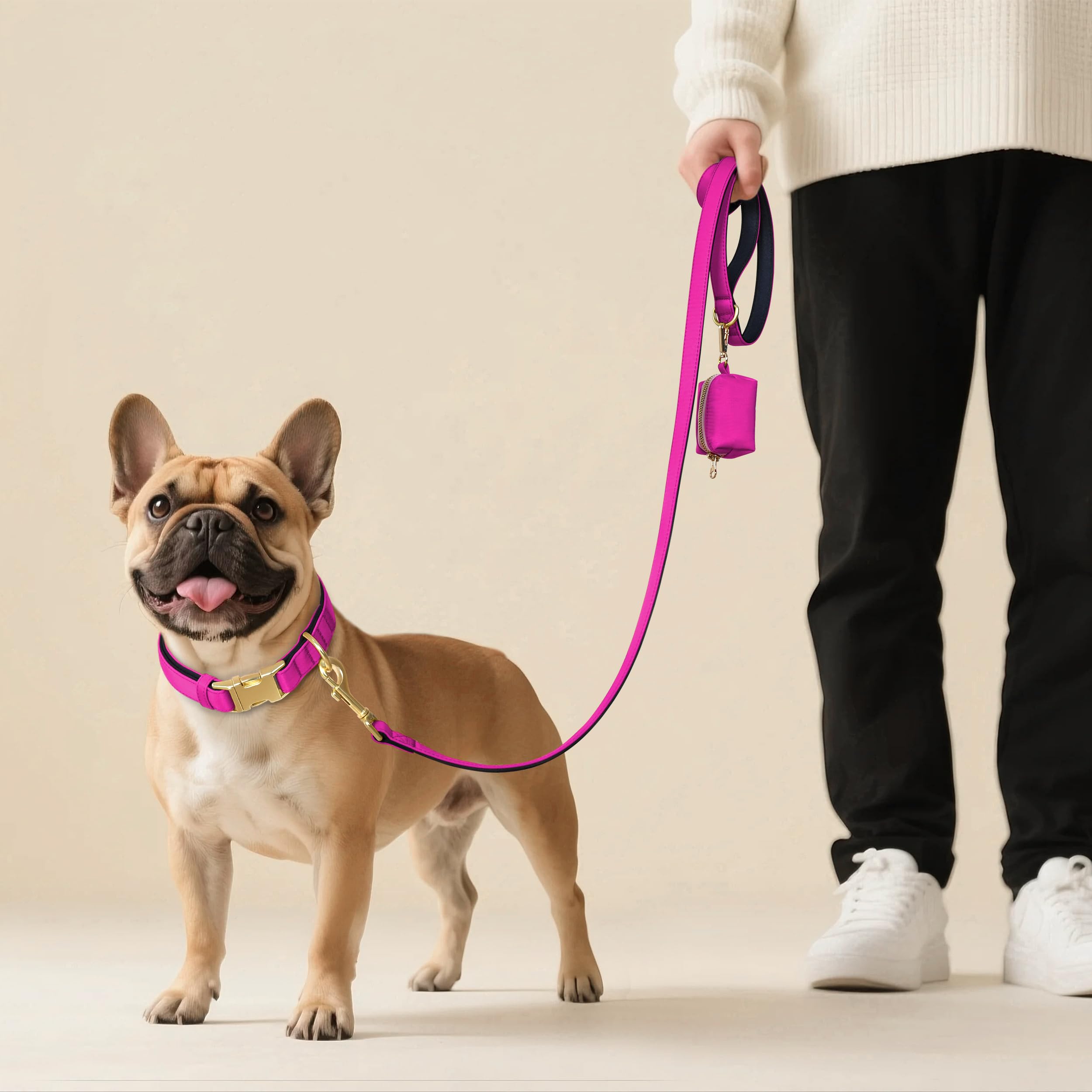 Didog quick-release buckle on large dog collar for easy on/off