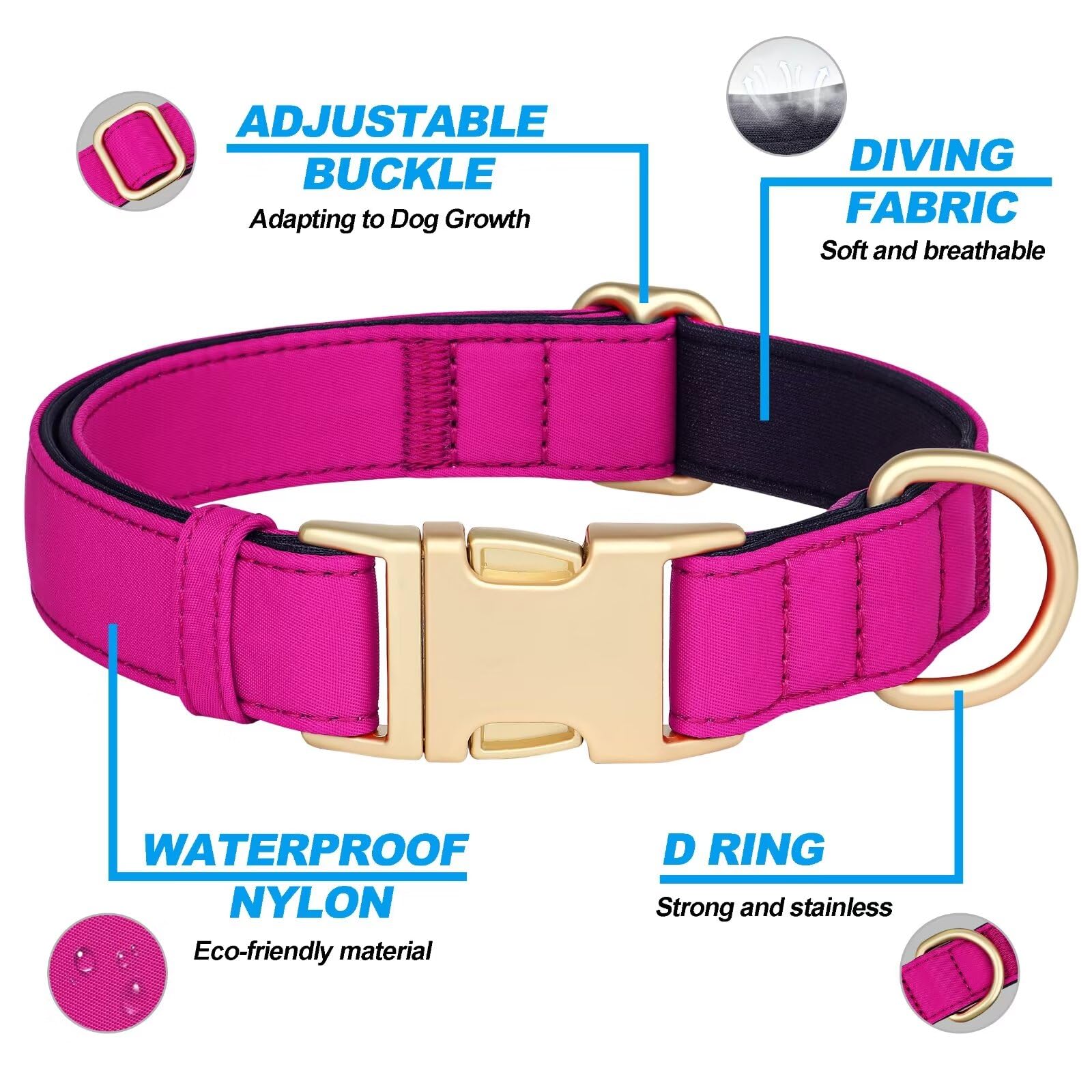 Didog rose purple color design collar ideal for daily walks