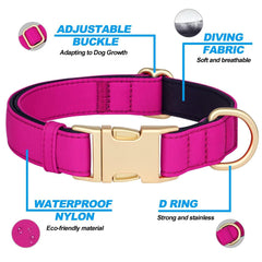 Didog rose purple color design collar ideal for daily walks