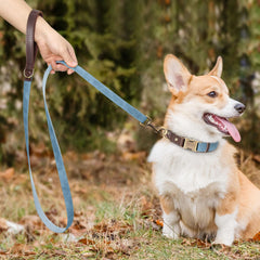 Soft padded handle on Didog leash for comfortable grip during long walks.
