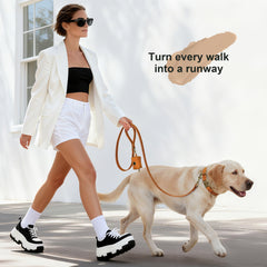 Didog collar adjustable strap provides a precise fit for growing dogs