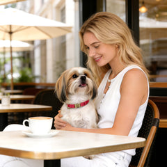 Didog adjustable slider demonstrates customizable fit for 10-15 inch necks.