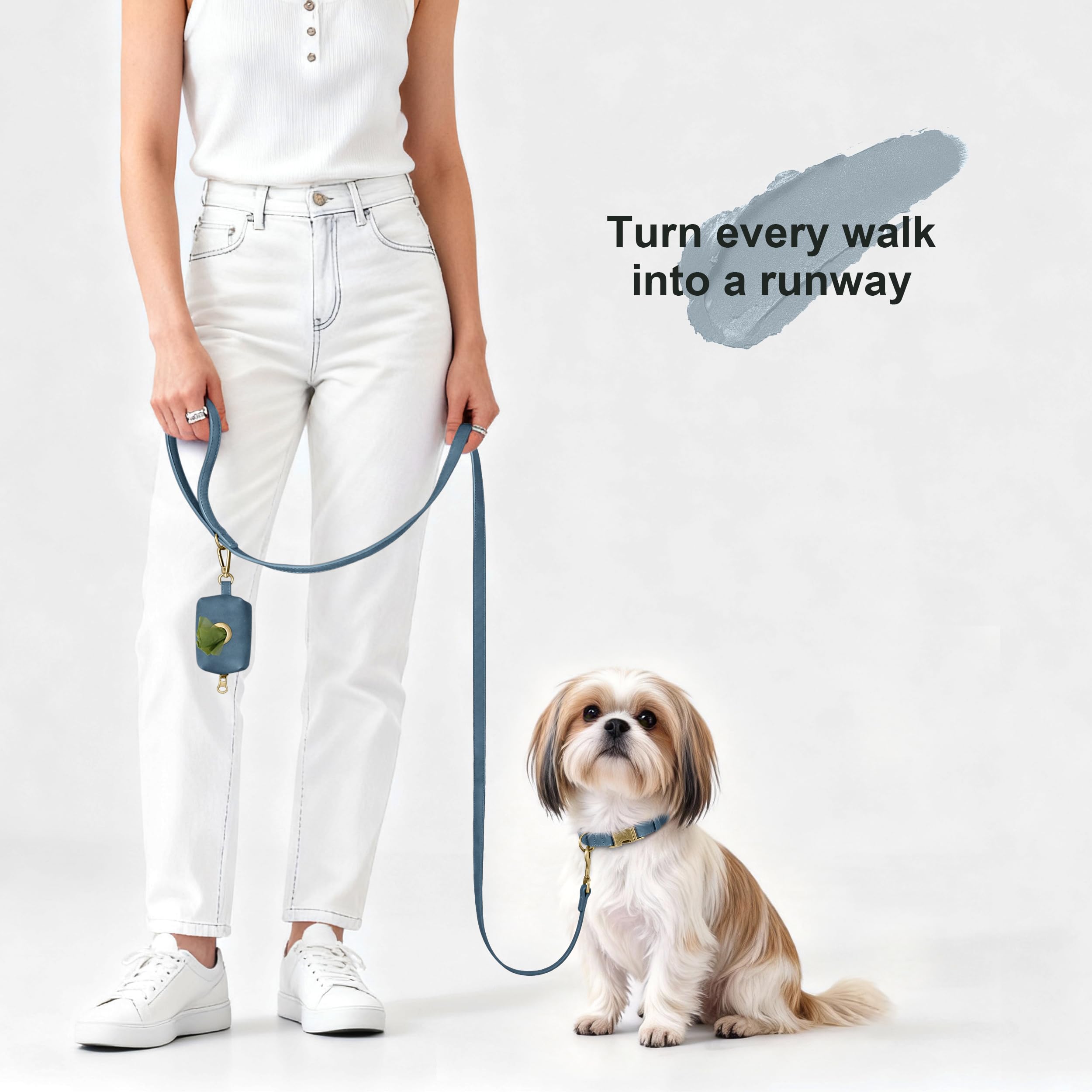 Didog blue adjustable strap highlights secure fit for small dogs