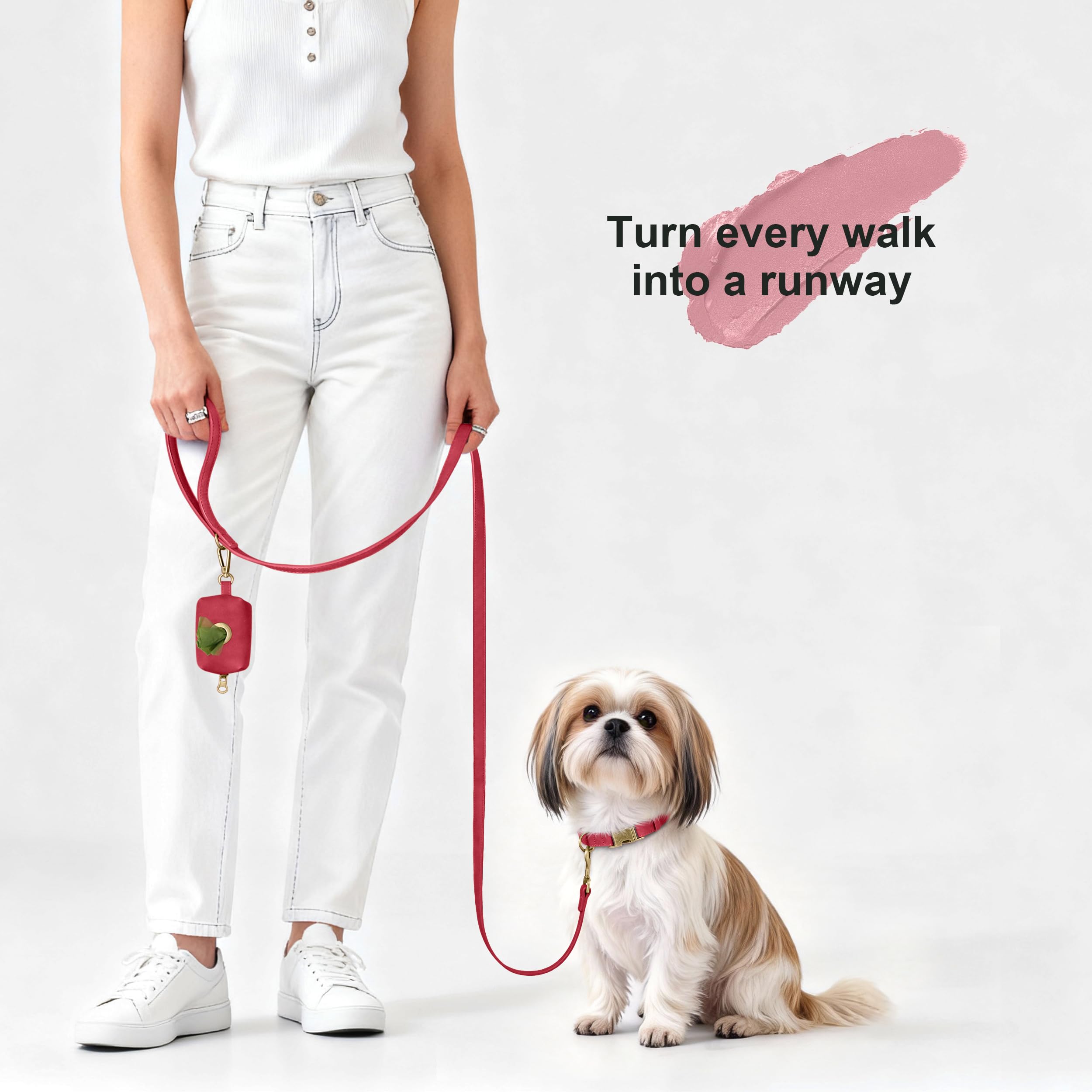 Didog D-ring leash attachment ready for daily walks.