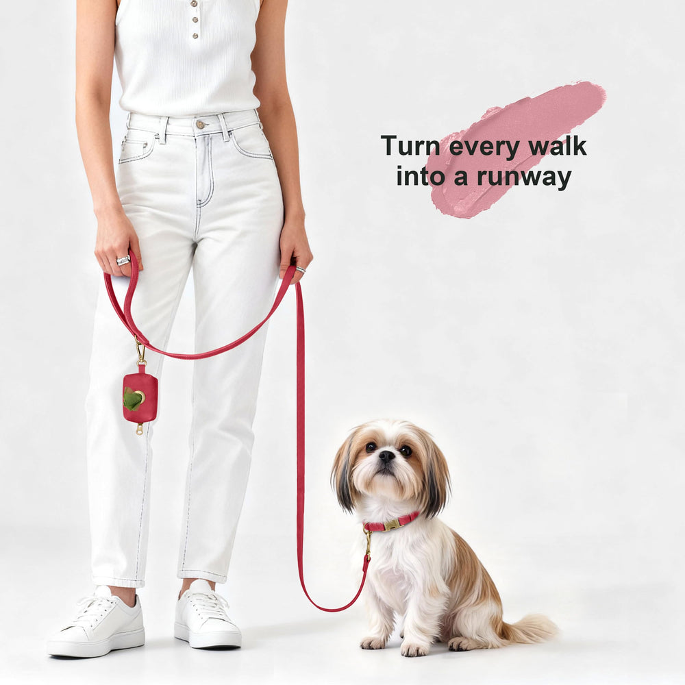 Didog D-ring leash attachment ready for daily walks.