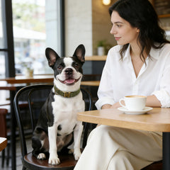 Didog adjustable dark-green collar on dog neck, showing fit.