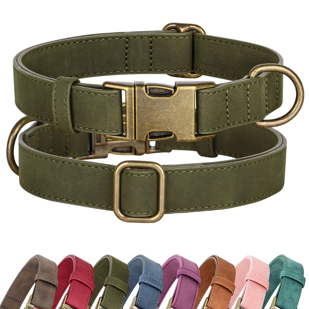 Didog soft PU leather collar in dark green on a small dog during daily walks.