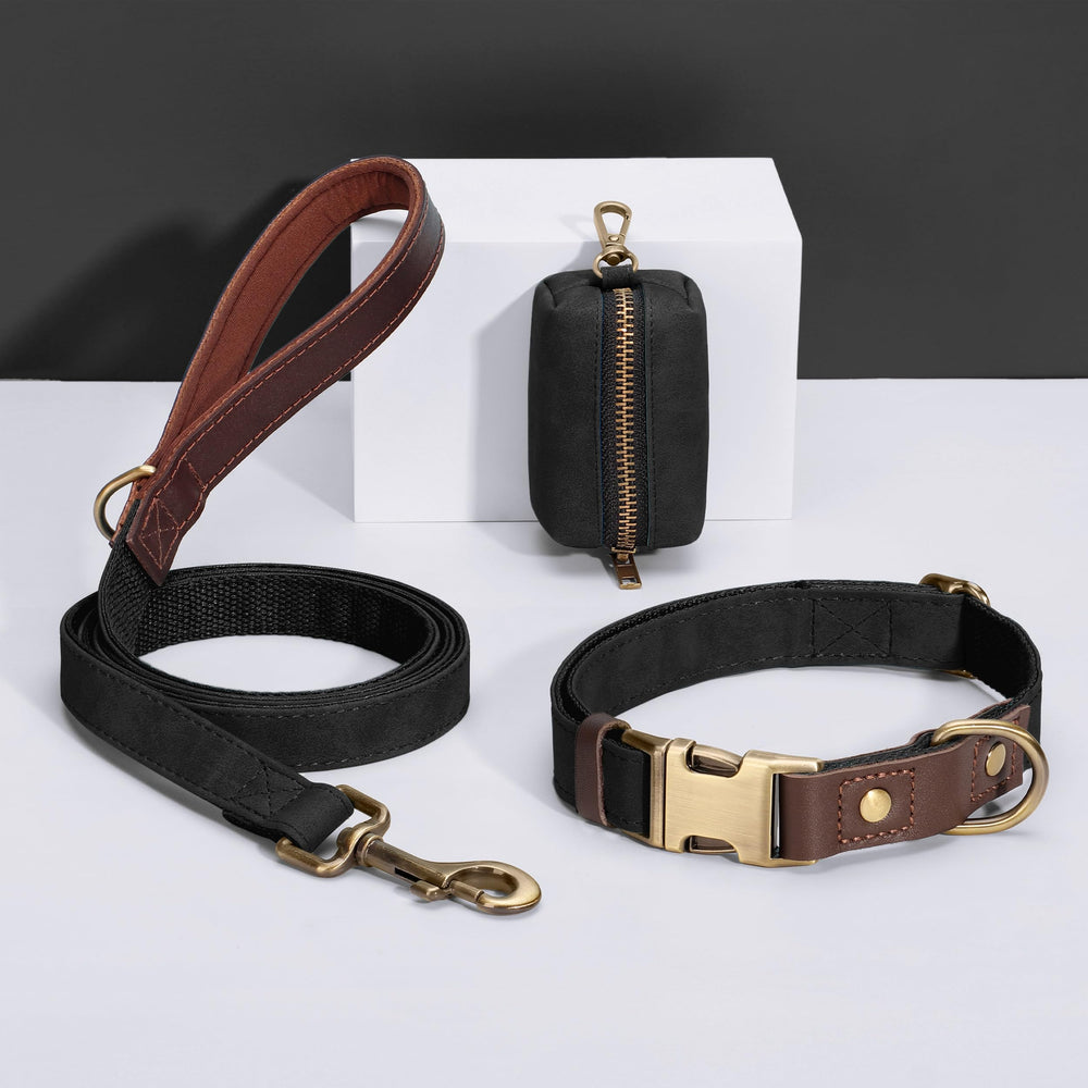 Didog collar with D-ring for secure leash attachment.