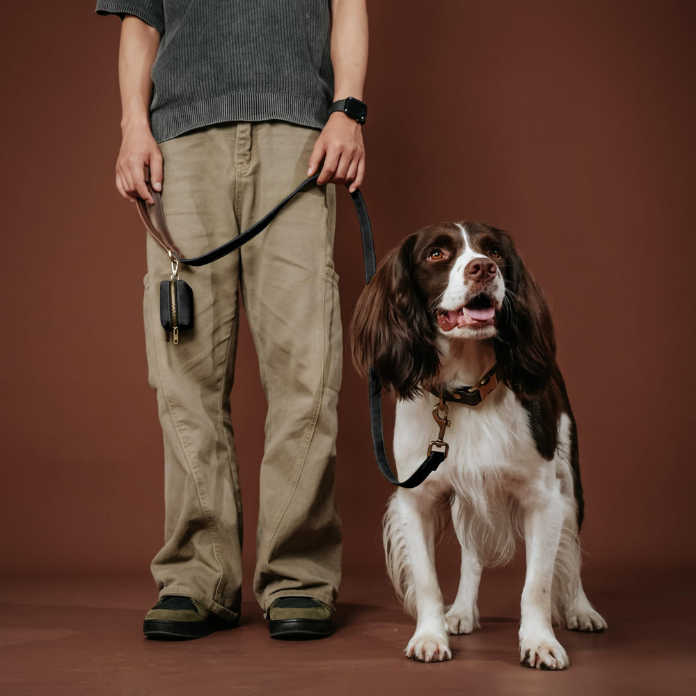 Didog collar surface clean with damp cloth after outdoor use.