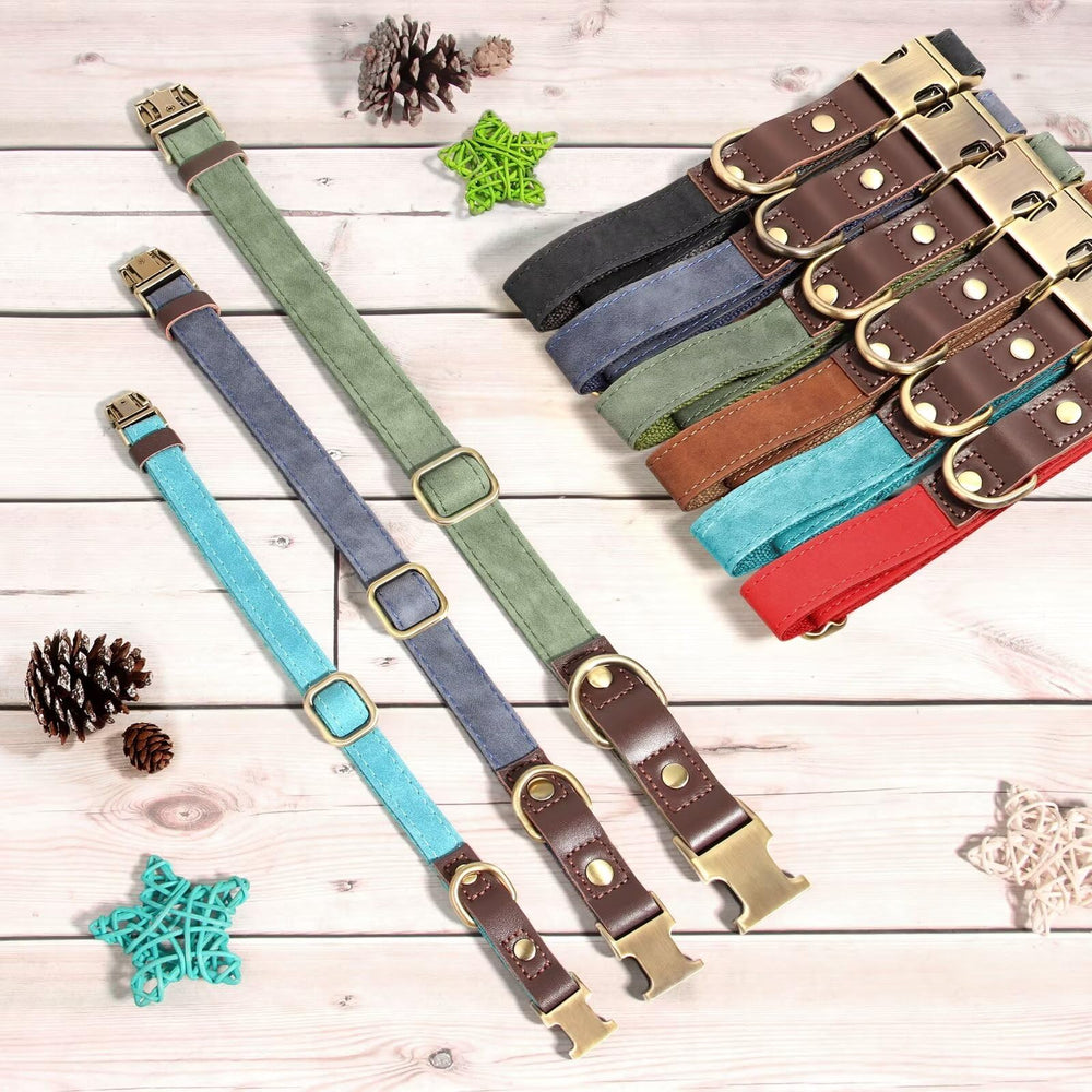 Didog green collar adds versatile style for walks and outings.