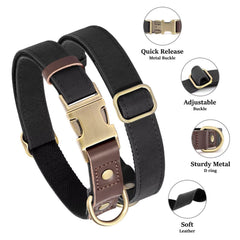Didog collar nylon lining detail emphasizes skin-friendly comfort