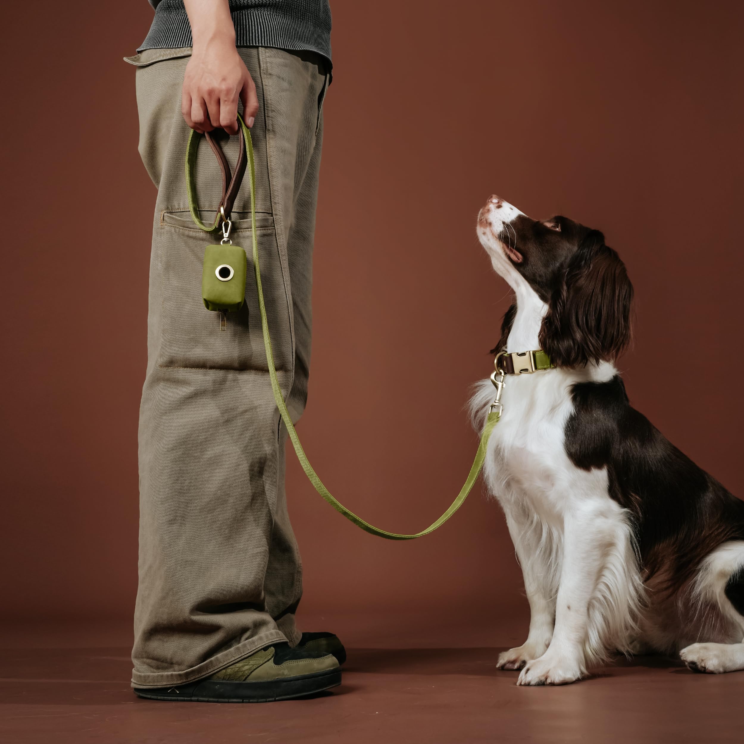 Didog adjustable olive green collar with secure fit