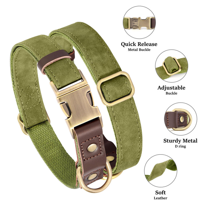 Didog collar olive green with quick-release buckle for easy on/off