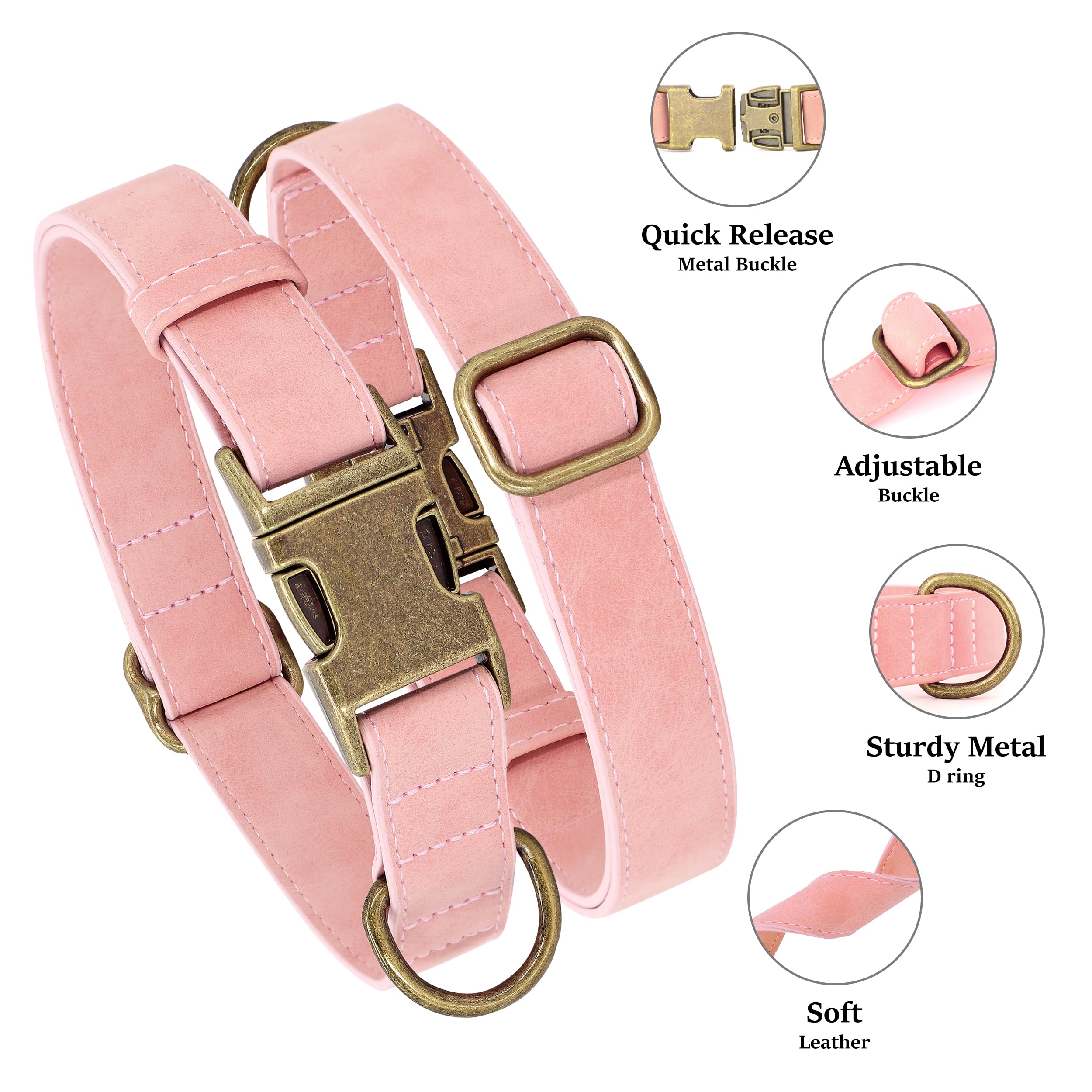 Didog pink collar on a dog during a daily walk for comfortable wear