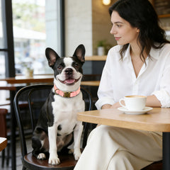 Didog pink quick-release collar close-up emphasizing easy on/off