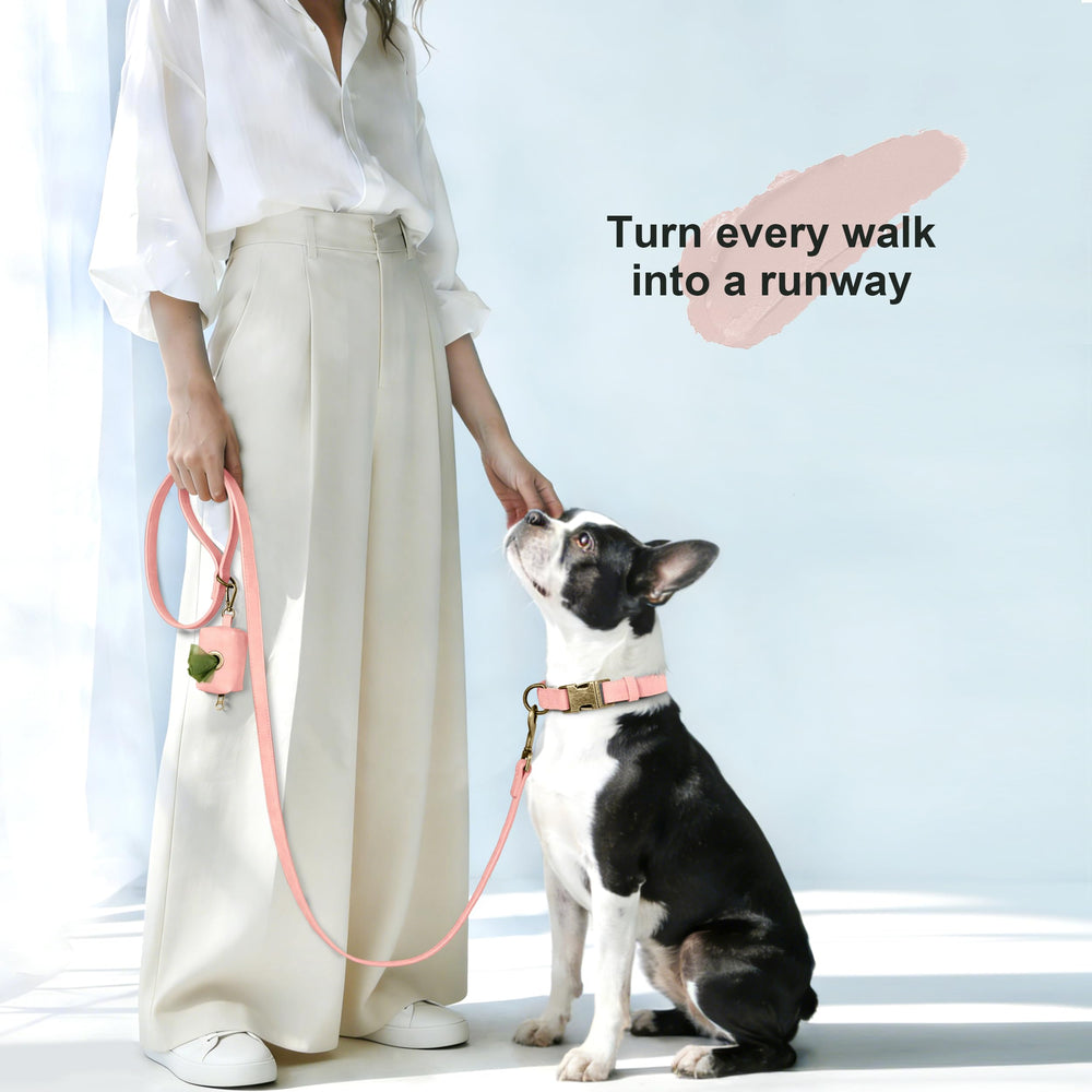 Didog pink collar with size adjustment buckle for a perfect fit