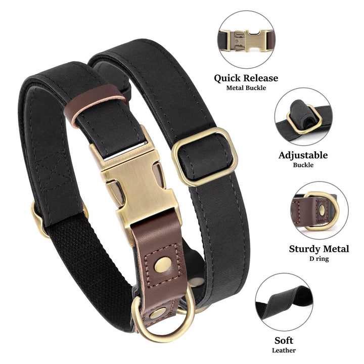 Didog collar quick-release buckle in action for easy on/off.