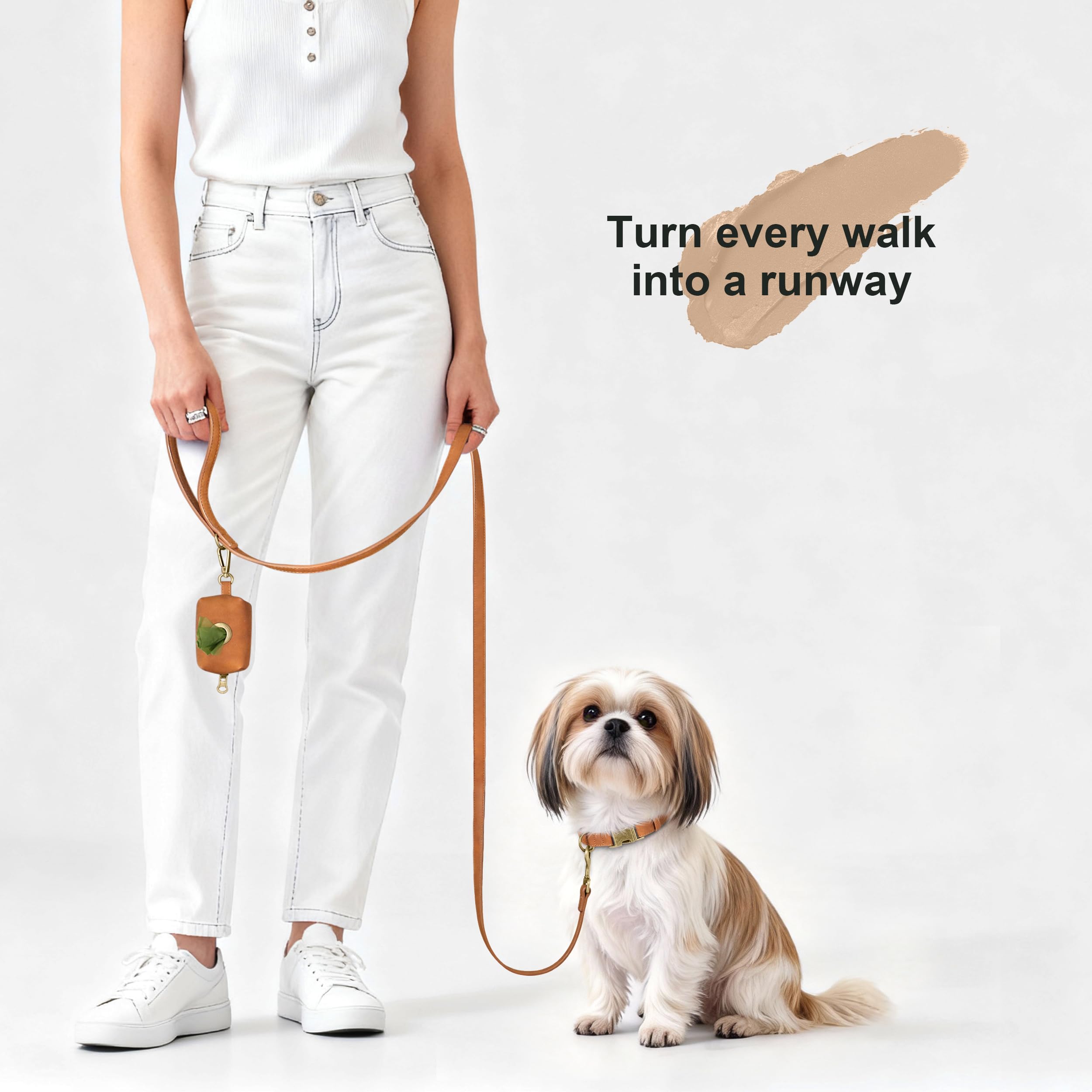 Didog collar with D-ring leash attachment for secure walking.