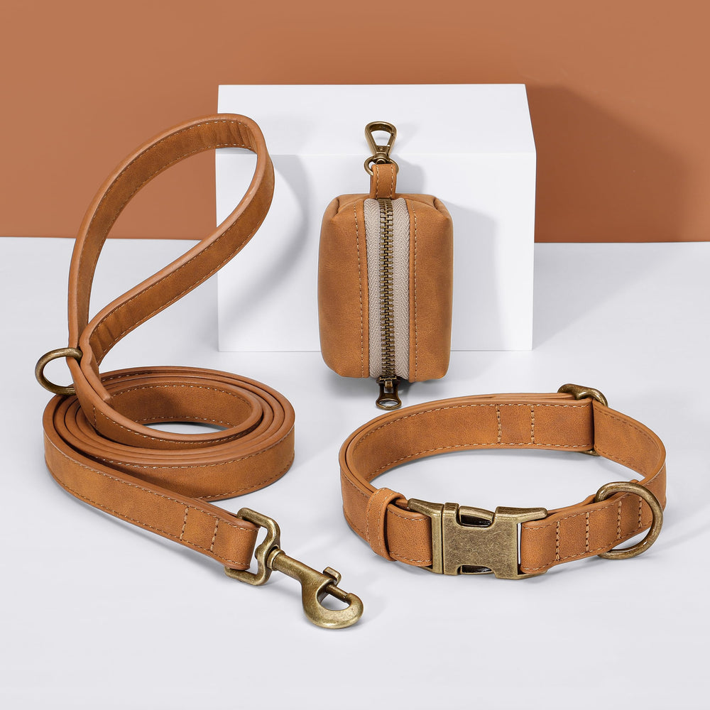 Didog quick-release collar ideal for daily walks, parties, and outdoor adventures.