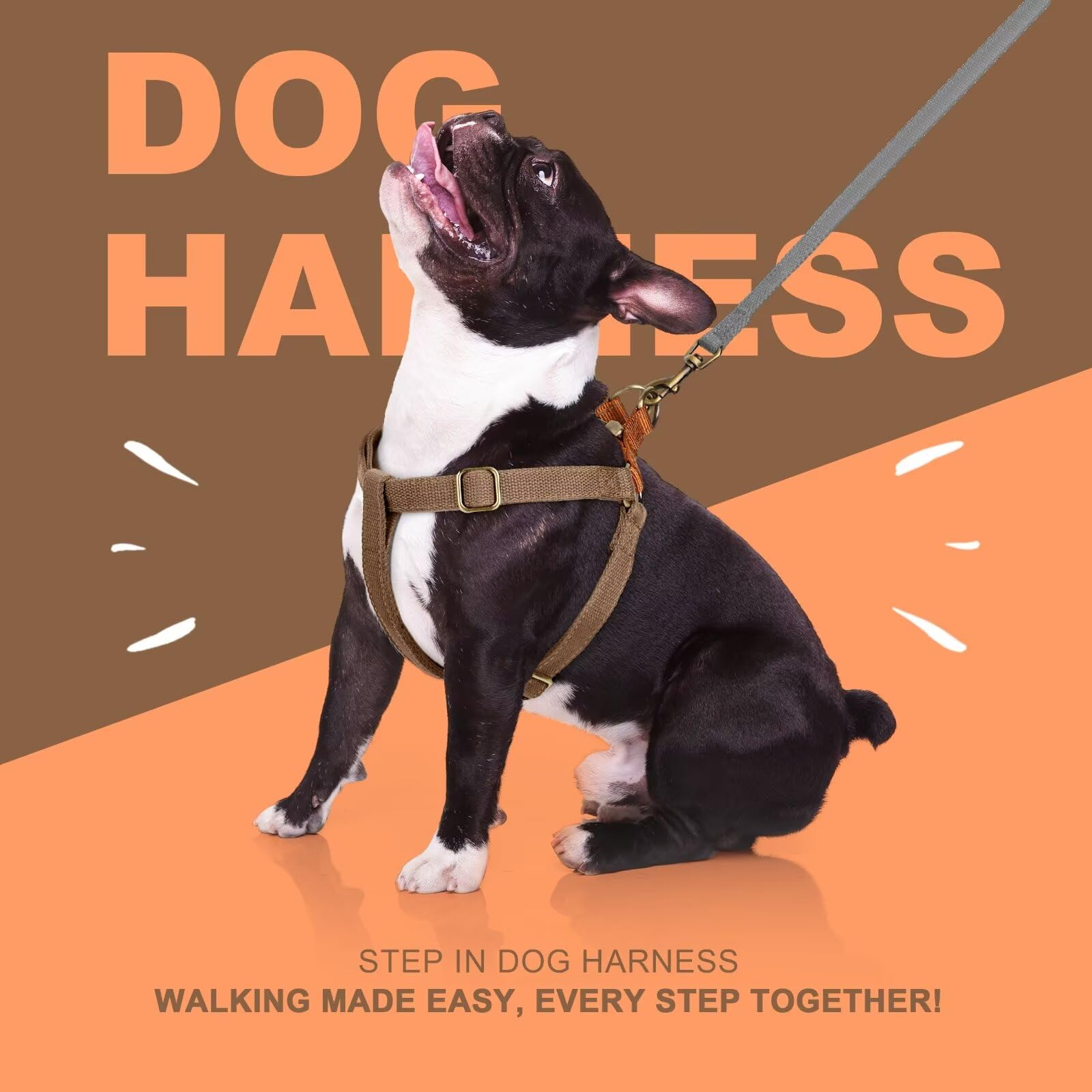 Didog Step-In harness ready for quick on-off access during outings