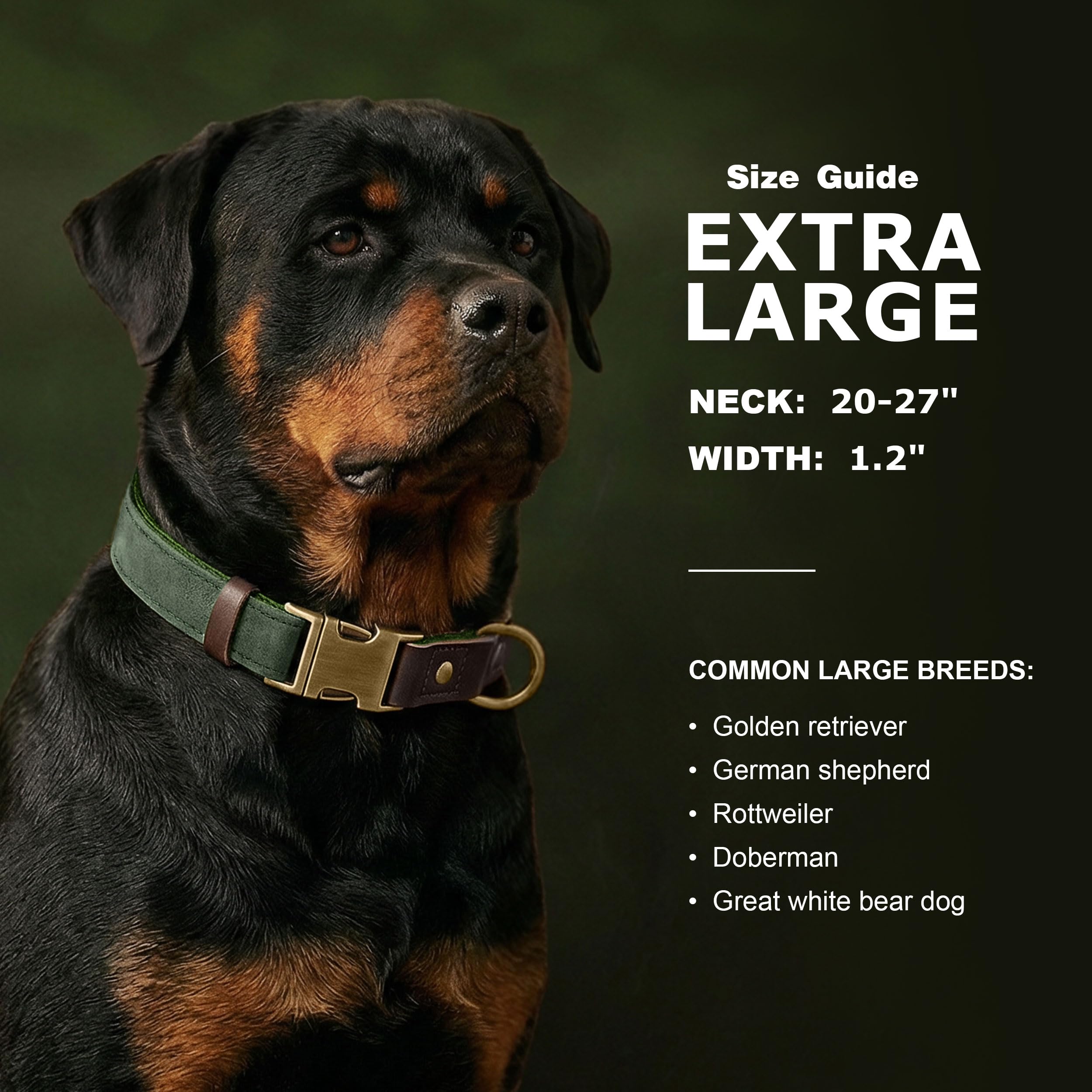 Didog stylish design collar in green for XL size, adding a fashionable touch