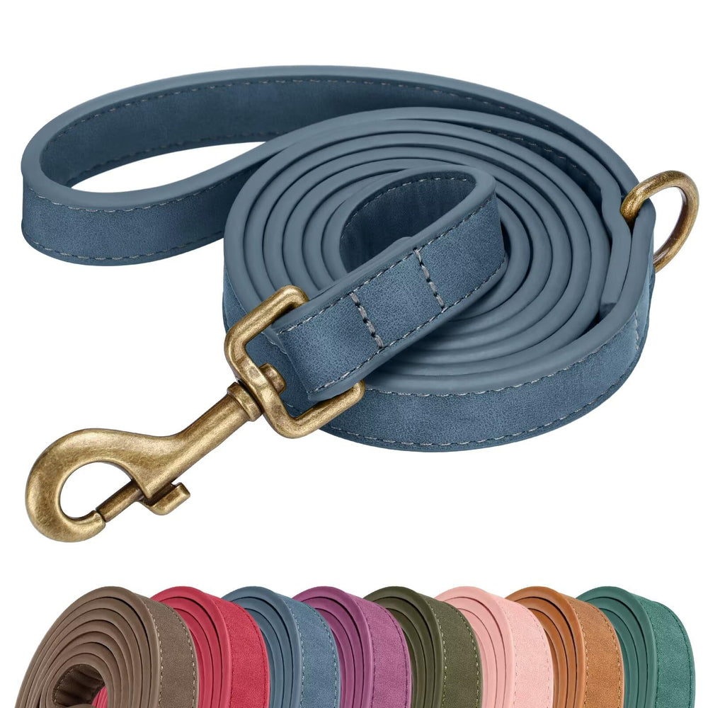 Didog stylish PU leather dog leash in blue for comfortable walks