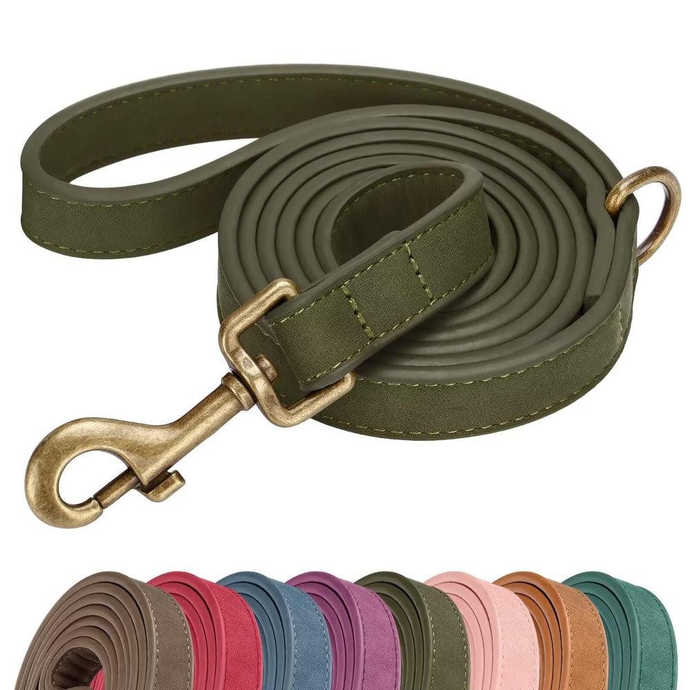 Didog stylish PU leather leash in dark green for secure daily walks.