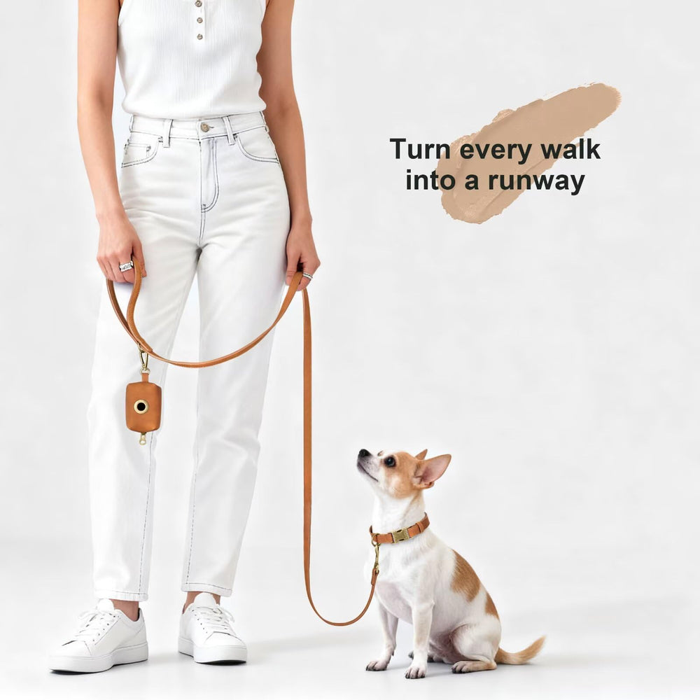 Didog leash with eight color options enhances everyday strolls