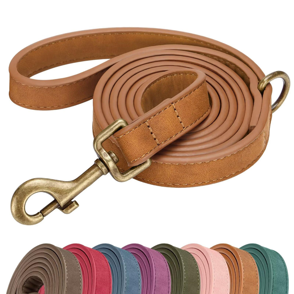 Didog PU leather leash close-up shows texture and premium finish for stylish walks
