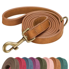 Didog PU leather leash close-up shows texture and premium finish for stylish walks