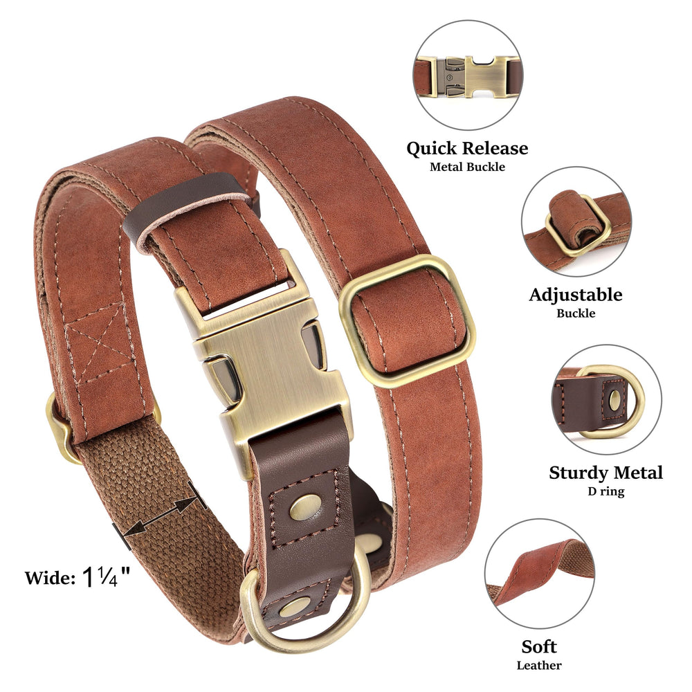 Didog wide 1¼-inch collar supports strong breeds on daily walks