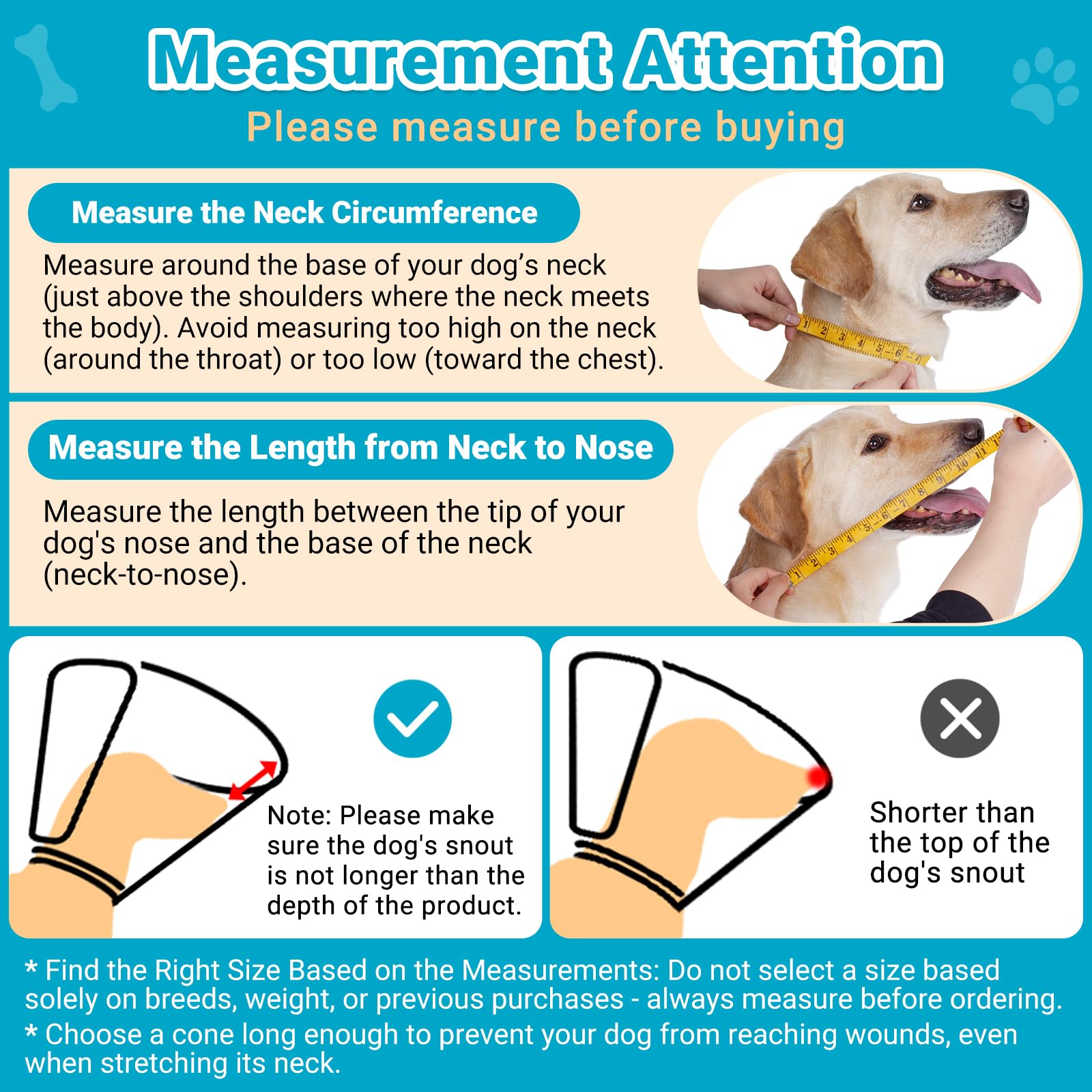 Didopet clear cone view allowing dog to see surroundings during recovery