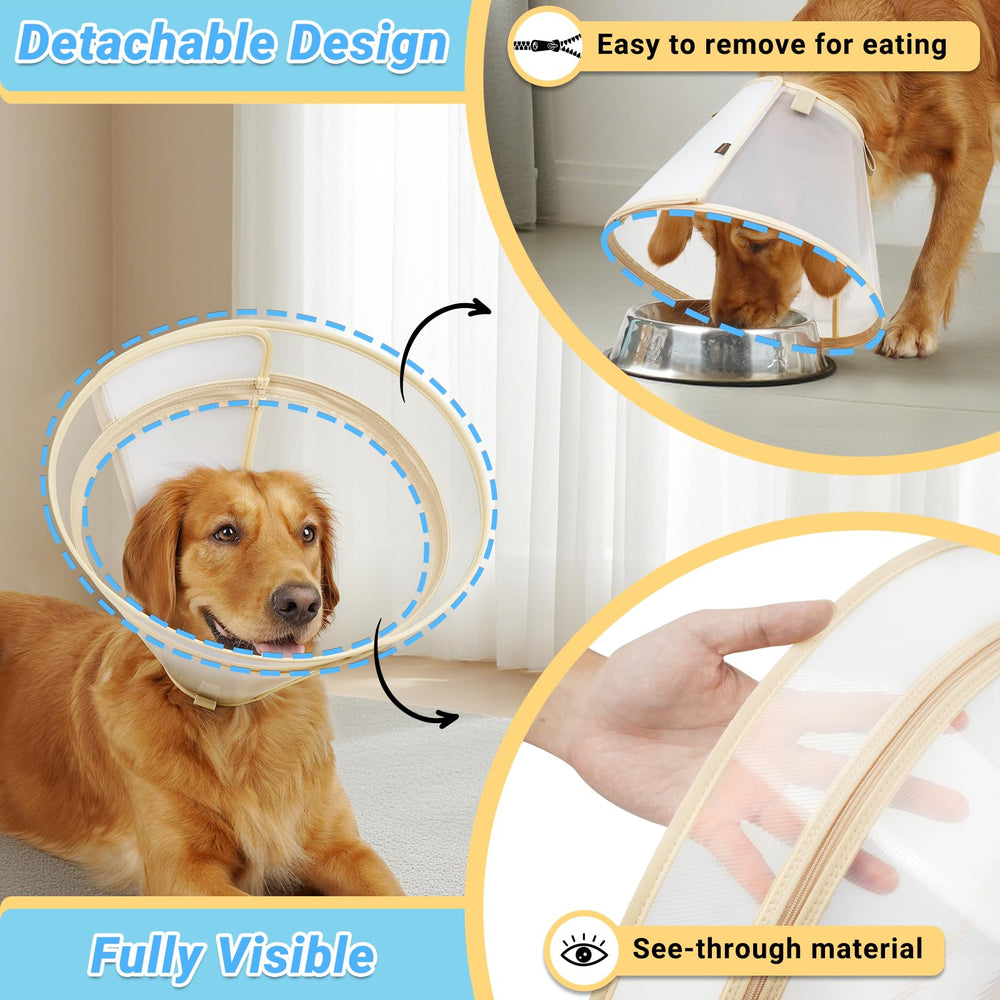Didopet anti-lick barrier design helps prevent licking.