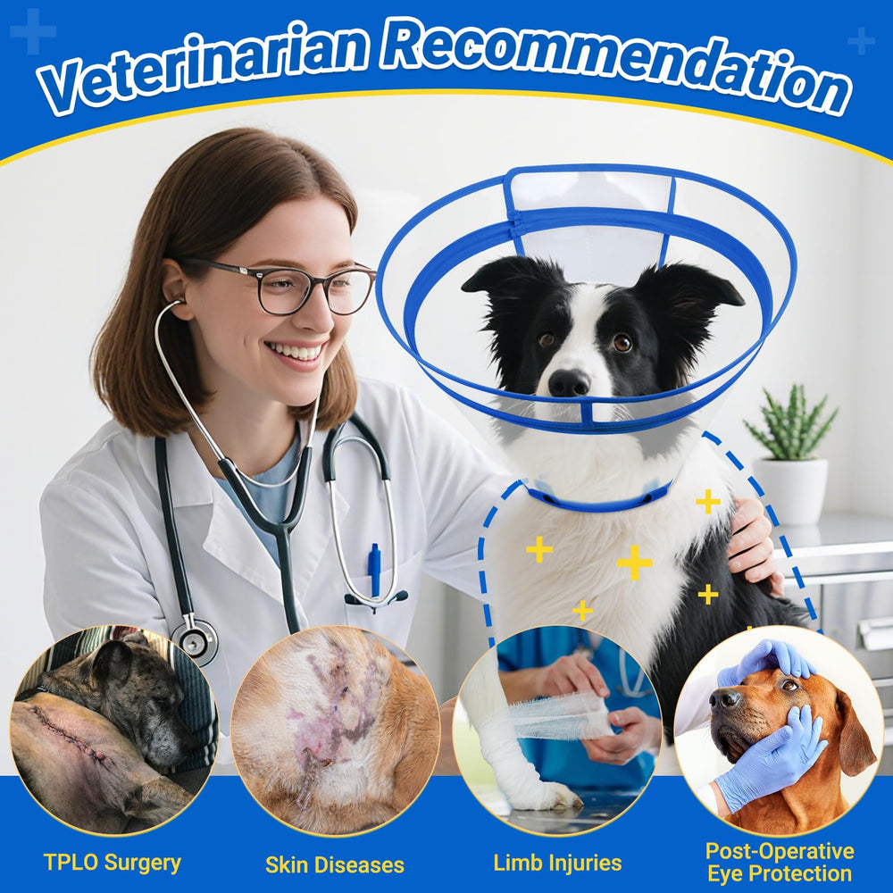 Didopet care-storage cone is simple to clean and store between uses.