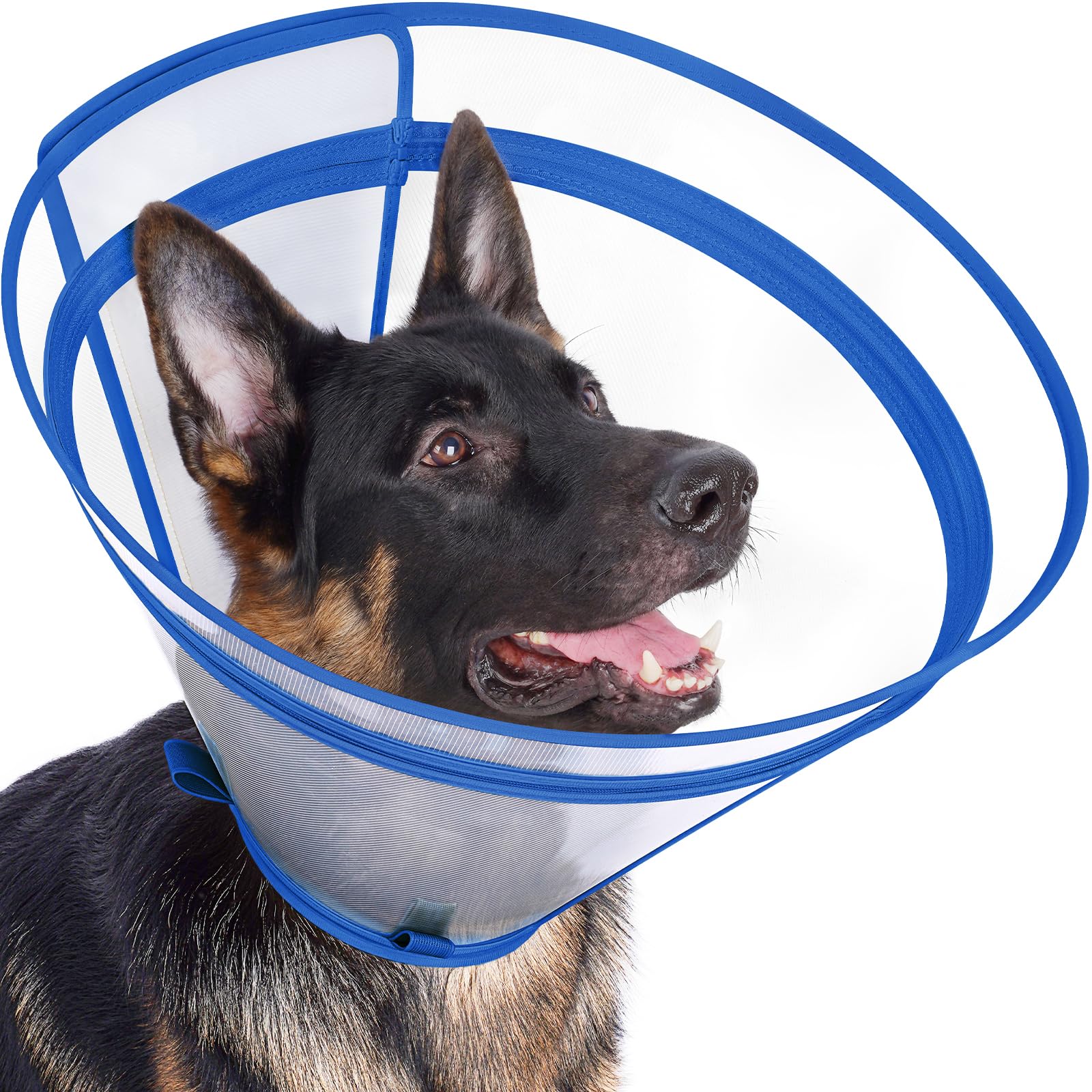 Didopet clear recovery cone with 360-degree vision supports calm, safe healing.