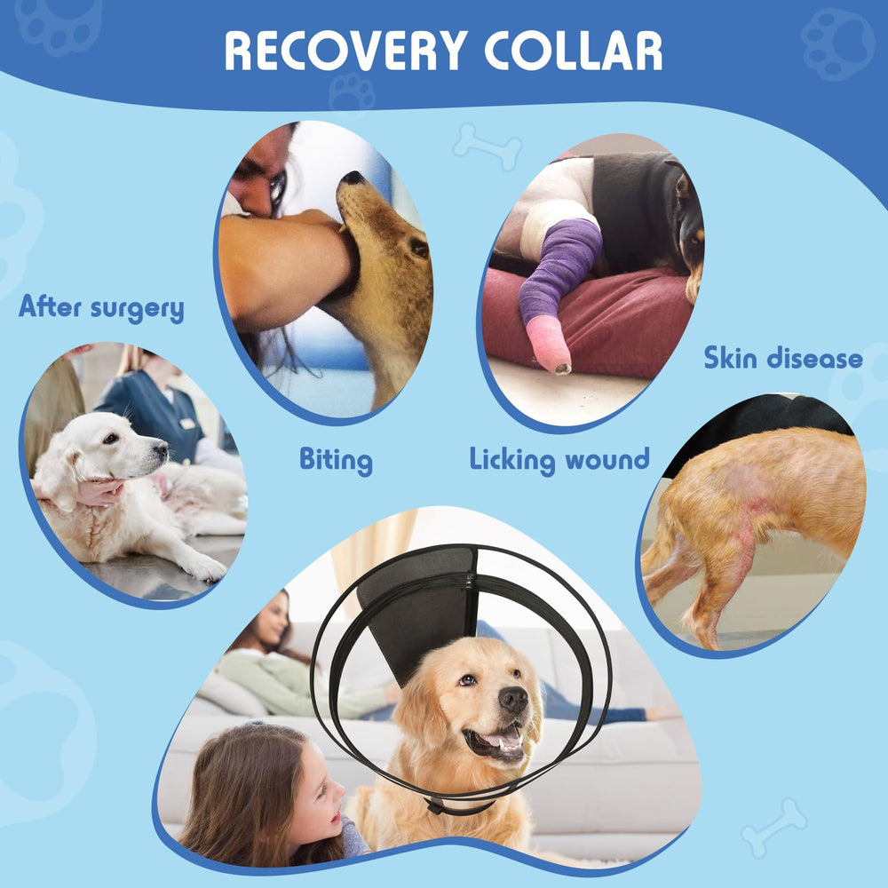 Didopet dog cone works with daily collars for secure wear.