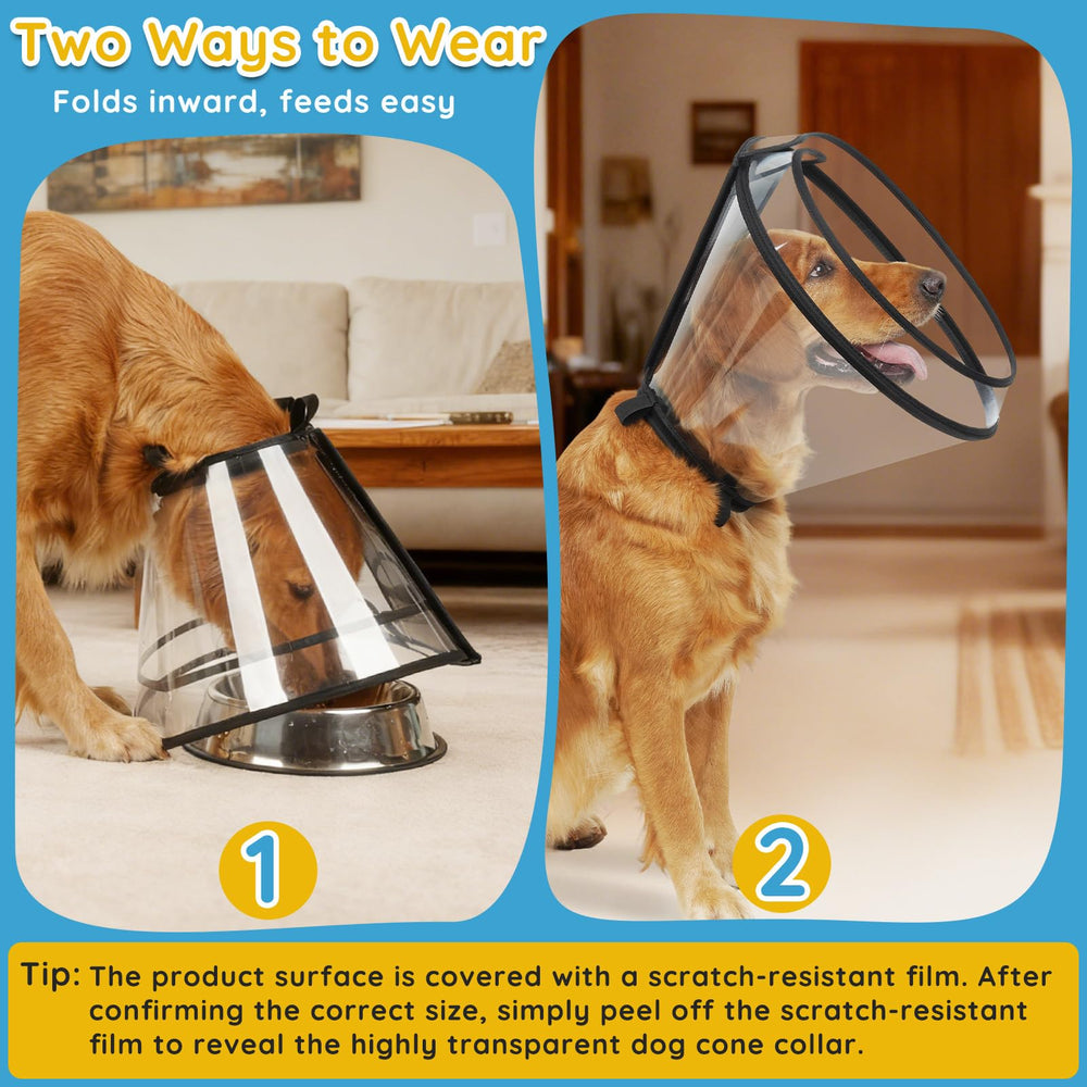 Didopet transparent design cone for calm, confident navigation at home.