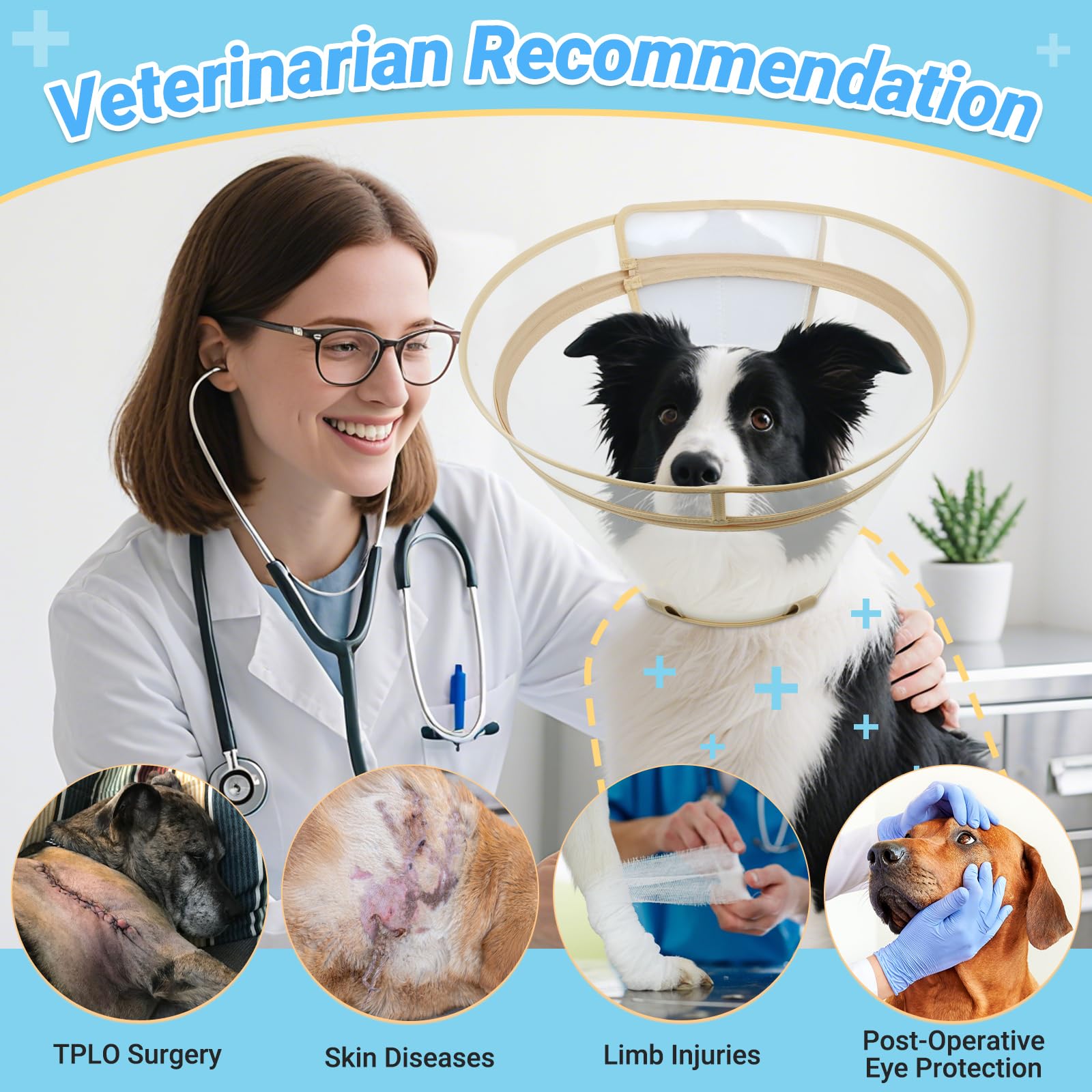 Didopet XL size guide ensures proper coverage for large breeds.
