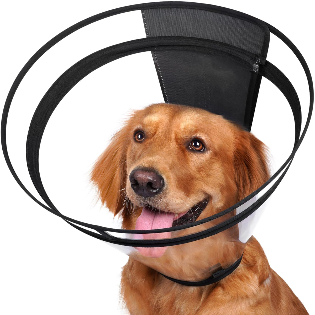 Didopet XL-Long cone overview shows a clear recovery collar for pets.