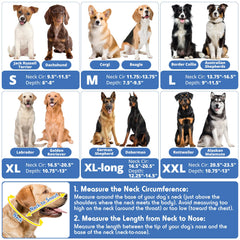Didopet cone’s high transparency helps pets see surroundings and stay calm.