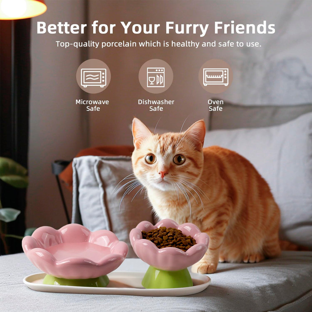 DIF DECO 6 oz capacity bowl for dry or wet food and water