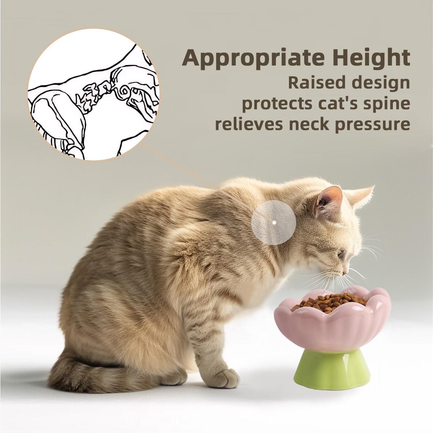 DIF DECO tulip-shape cat feeder promoting stylish, whisker-friendly dining