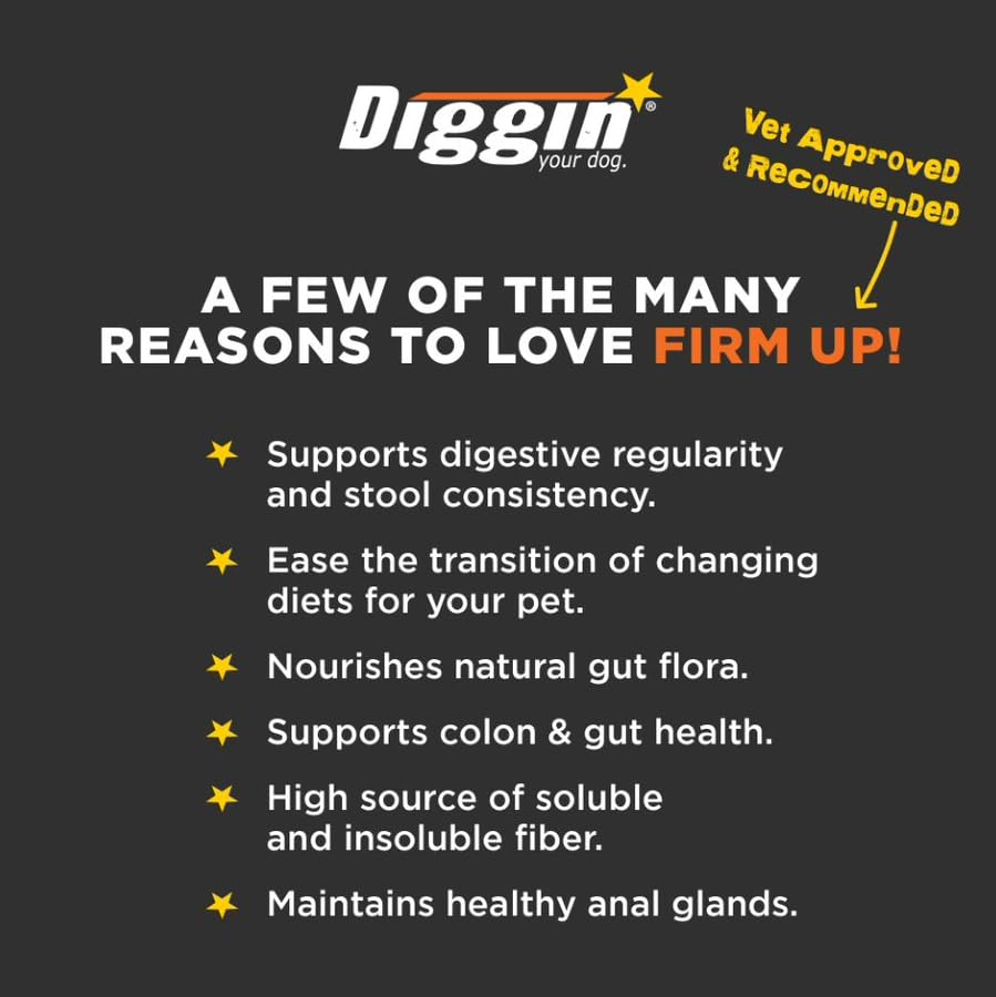Diggin' Your Dog Firm Up: dogs and cats enjoying pumpkin flavor as a gentle digestive support.