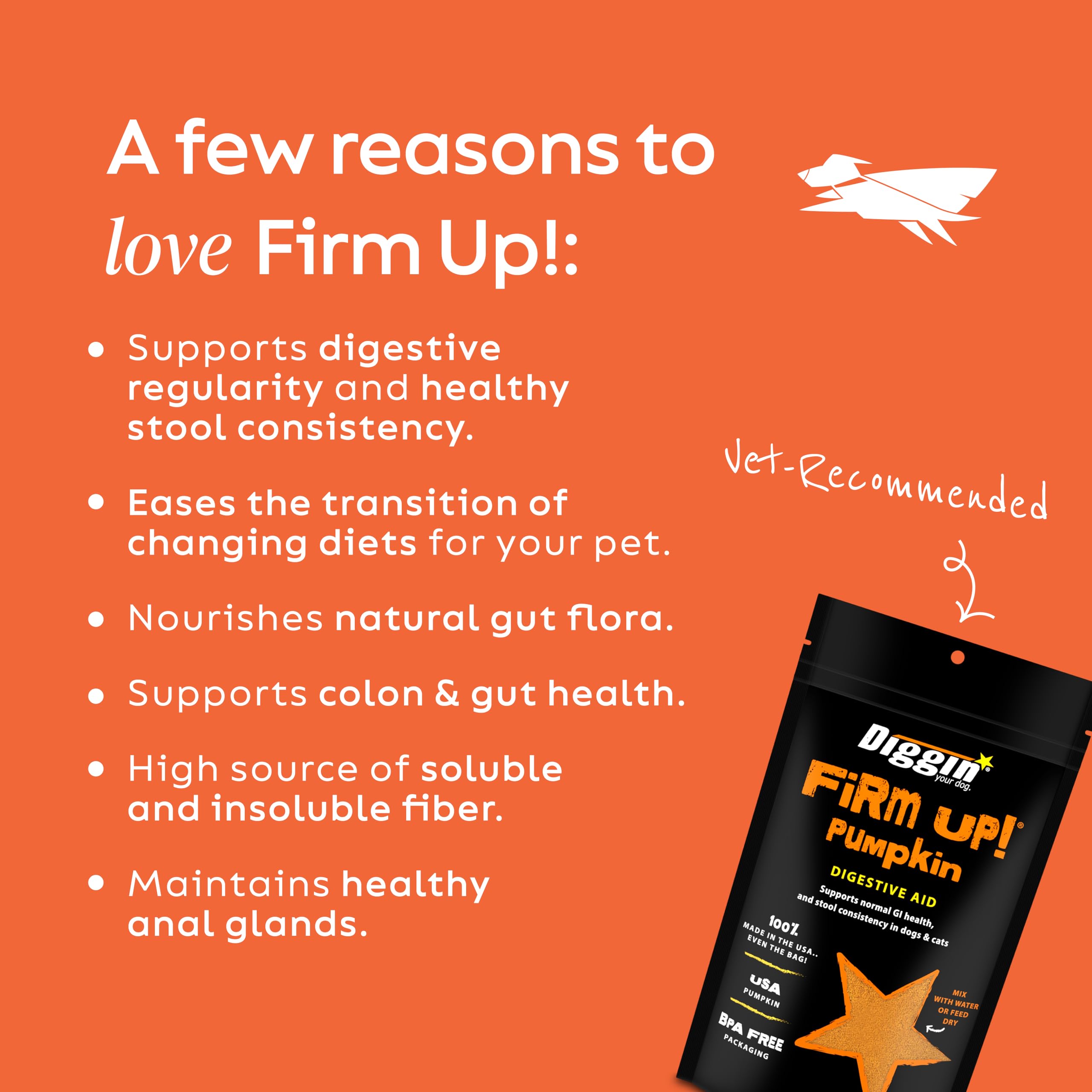 Diggin' Your Dog Firm Up pumpkin bars closeup highlighting tasty texture your pet enjoys.