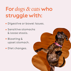 Diggin' Your Dog Firm Up pumpkin powder dispense demonstrates easy measuring and mixing into meals.