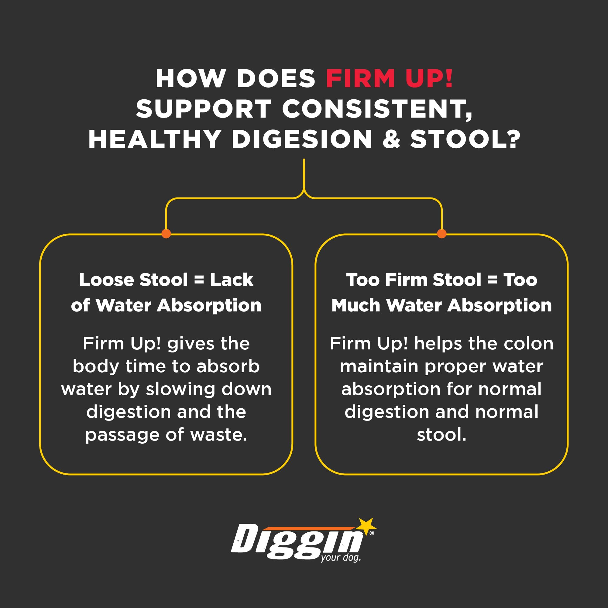 Diggin' Your Dog Firm Up USA-made packaging, highlighting 100% USA-grown ingredients.