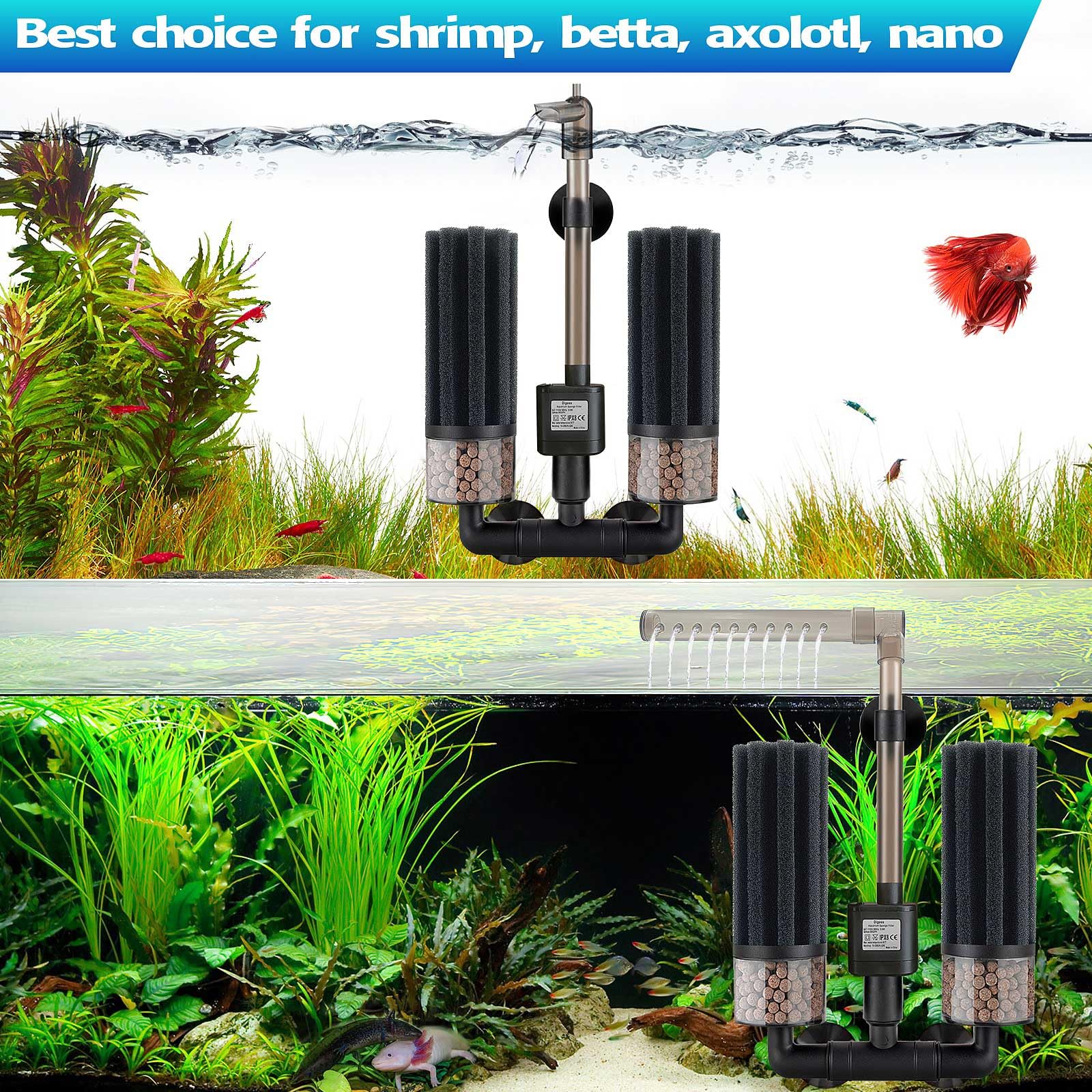 Digoos suction cups secure the setup for plug-and-play filtration.